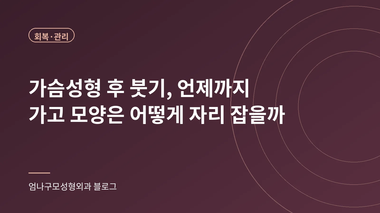 가슴성형 후 붓기, 언제까지 가고 모양은 어떻게 자리 잡을까 표지 이미지