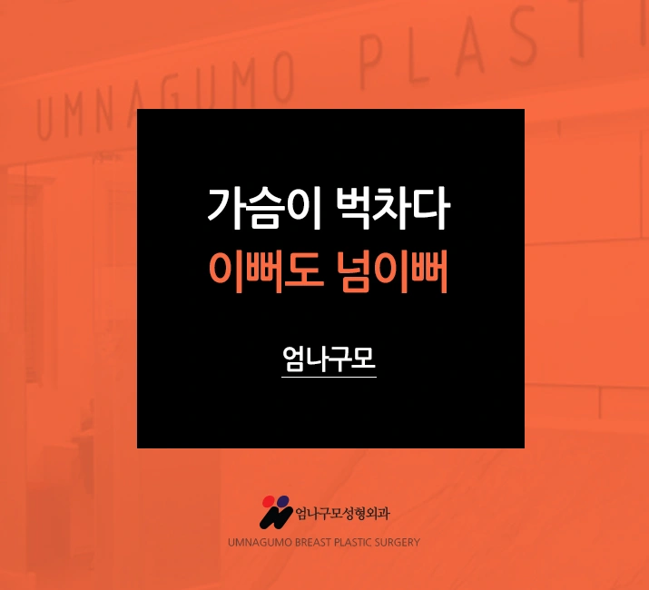 엄나구모 정보글>> 2022년 모티바 가슴재수술 도 엄나구모~ 안내 이미지