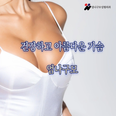 엄나구모 정보글>>내 가슴에 들어가는 가슴보형물!! 가슴성형 궁금하시죠!! 안내 이미지