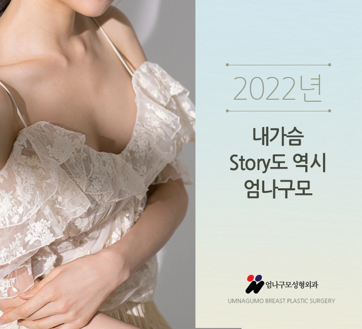 엄나구모 가슴성형정보글>>> 예쁜 가슴성형 이라는 것은?? 안내 이미지