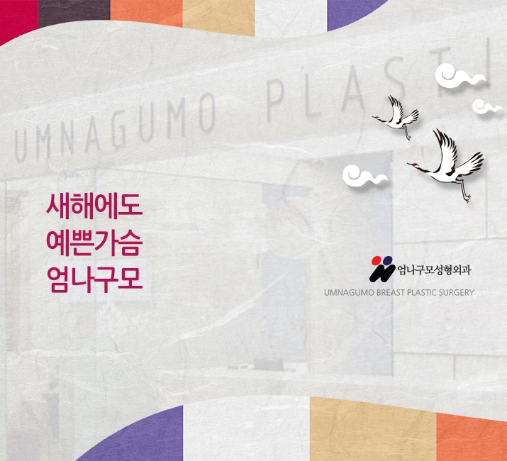 엄나구모정보글>>> 2022년에도 가슴성형은 엄나구모! 안내 이미지