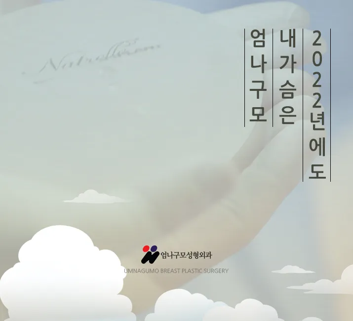 엄나구모 가슴성형정보글>>> 예쁜 가슴성형 이라는 것은?? 안내 이미지