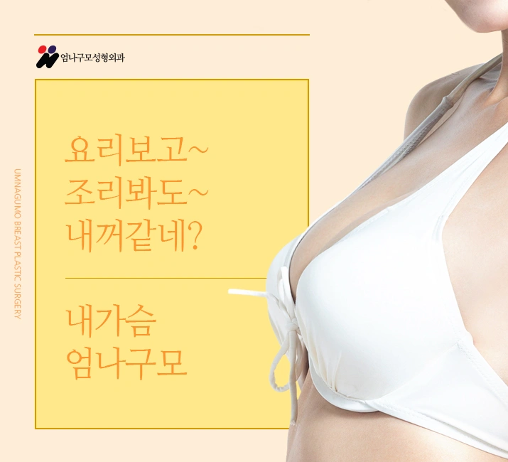 엄나구모 정보글 >>>2022년에도 제대로 모양 예쁜 가슴성형 안내 이미지