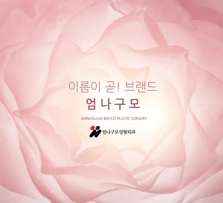 엄나구모 정보글:: 올바른 가슴성형으로 자신감 UP 안내 이미지