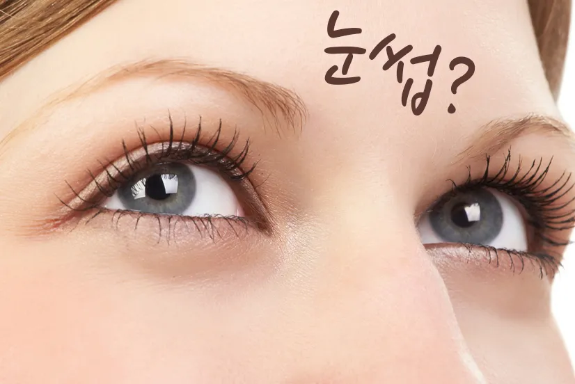 내얼굴에 맞는 눈썹그리기 팁 !! 안내 이미지