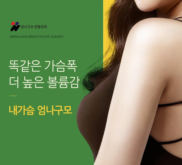 엄나구모정보글 >> 새로 태어난 내 가슴 STORY 안내 이미지