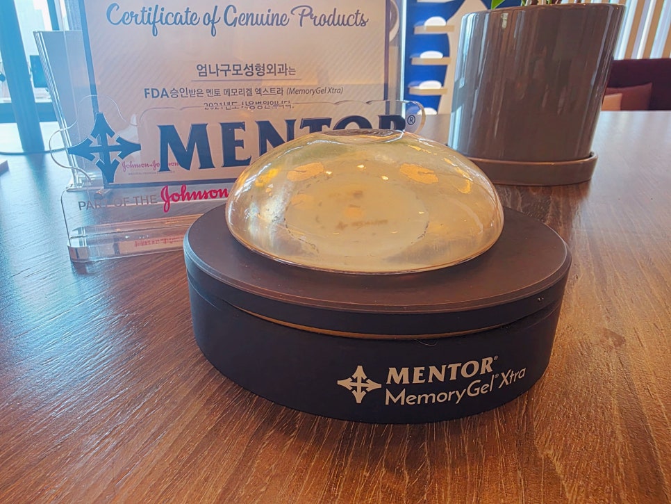 メンターMemoryGel Xtraインプラントの実物サンプル — Umnagumo美容整形外科に展示