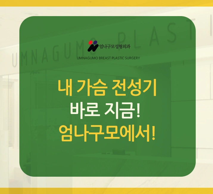 엄나구모정보글 >> 새로 태어난 내 가슴 STORY 안내 이미지