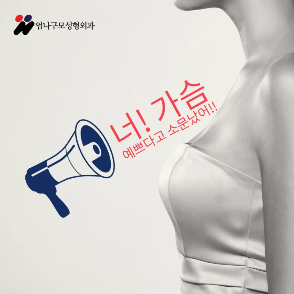 엄나구모 정보글 >>가슴성형 임상경험이 많은 의료진에게 제대로 받는 가슴성형 안내 이미지
