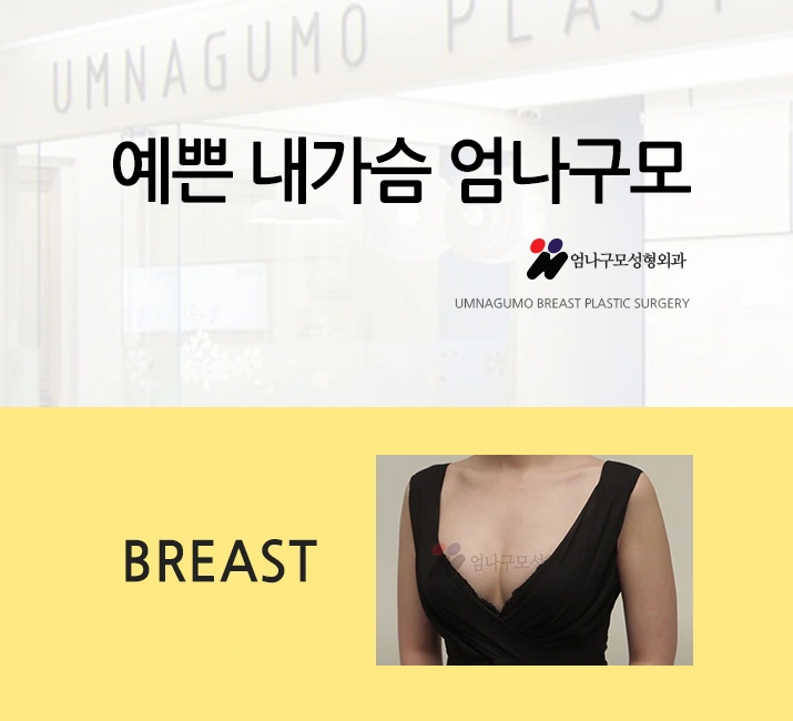 엄나구모 정보글 >>>2022년에도 제대로 모양 예쁜 가슴성형 안내 이미지
