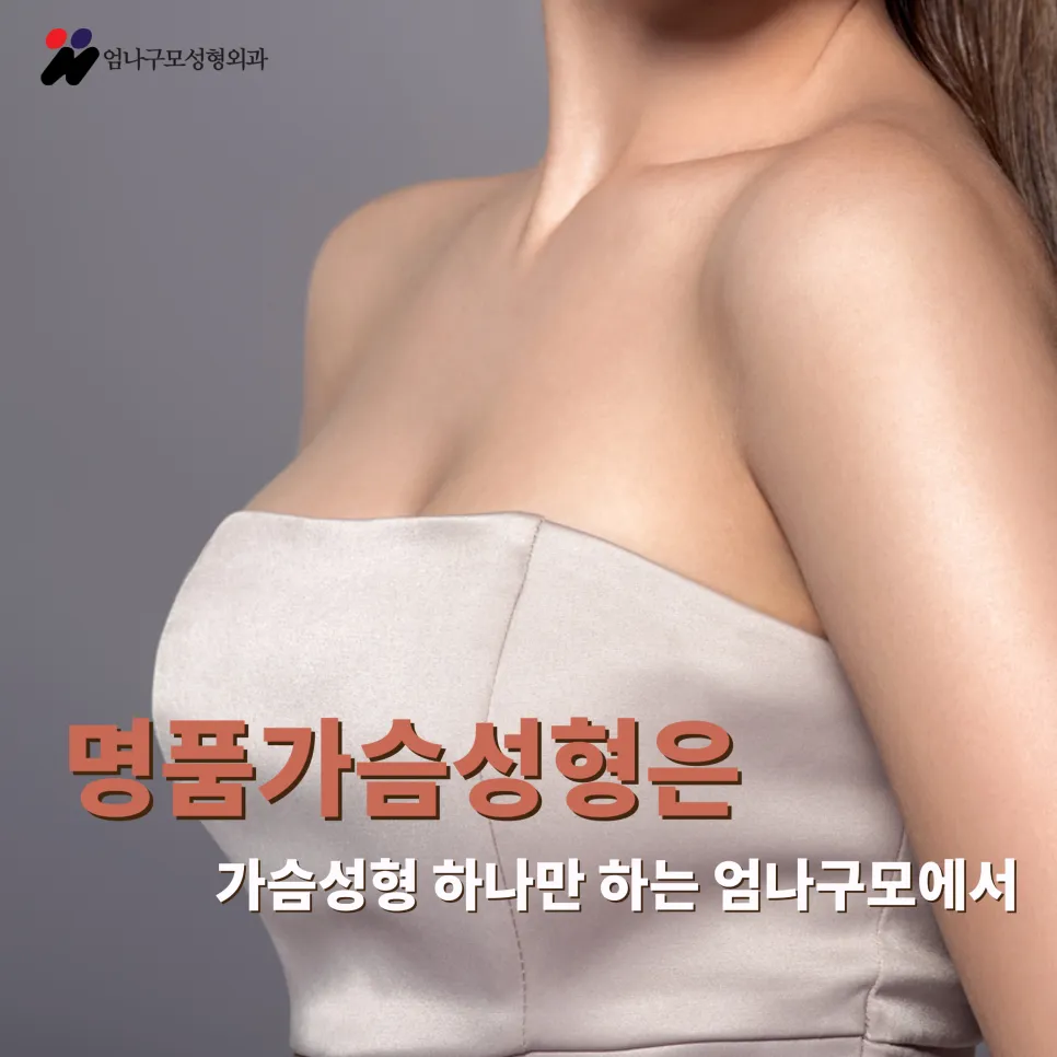 엄나구모 정보글>>내 가슴에 들어가는 가슴보형물!! 가슴성형 궁금하시죠!! 안내 이미지