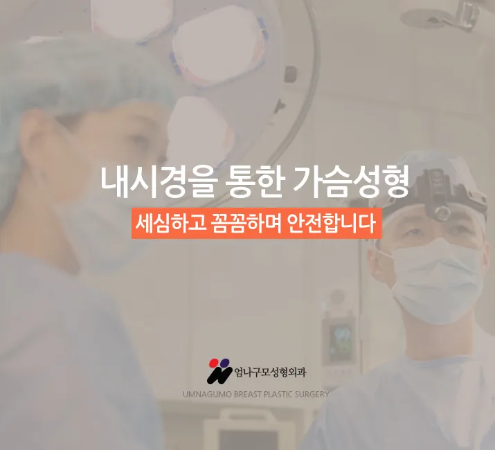 엄나구모 정보>> 내몸에 들어가는 보형물가슴성형 정확히 알고 해야겠죠? 안내 이미지