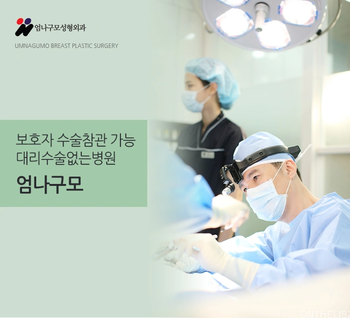 엄나구모 정보글:: 가슴확대 수술로 처진 가슴 개선가능?? 안내 이미지
