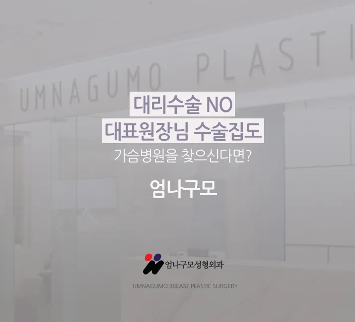 엄나구모 정보글>>> 엄나구모 모티바 가슴성형 알고 싶으셨다고요? 안내 이미지