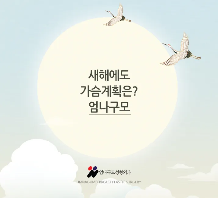 엄나구모 가슴성형정보글>>> 예쁜 가슴성형 이라는 것은?? 안내 이미지
