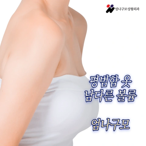 엄나구모 정보글>>내 가슴에 들어가는 가슴보형물!! 가슴성형 궁금하시죠!! 안내 이미지
